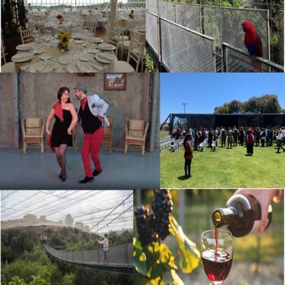 Jueves 22 de octubre